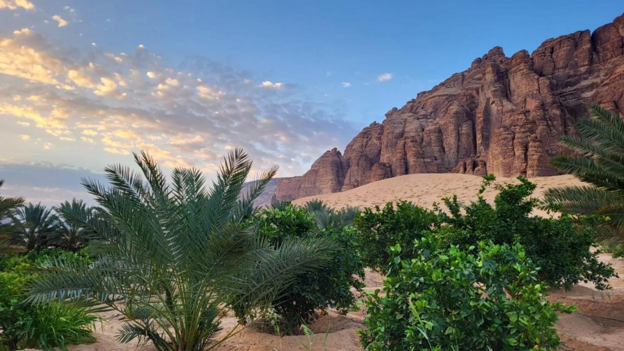 الجوهرة Diamond Plus Al-ʿUla Exterior foto