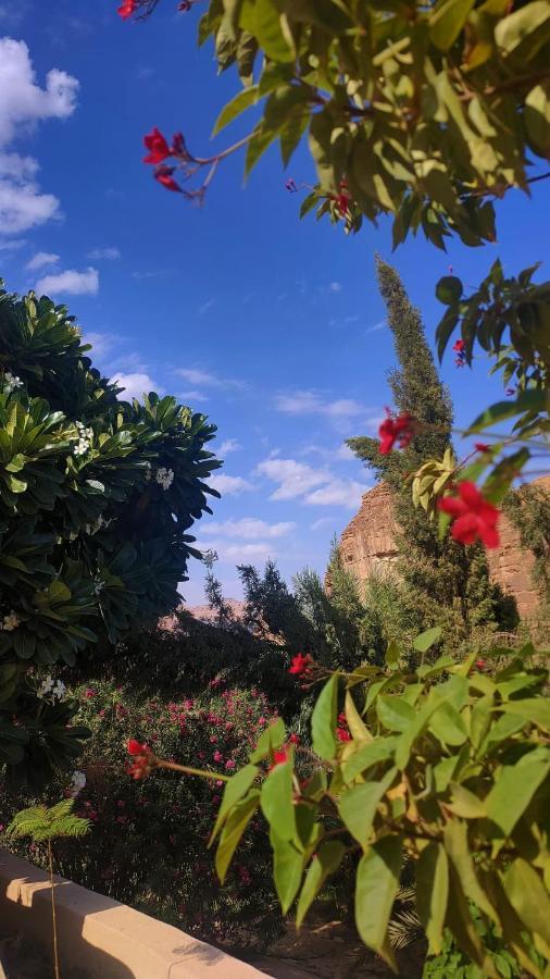 الجوهرة Diamond Plus Al-ʿUla Exterior foto