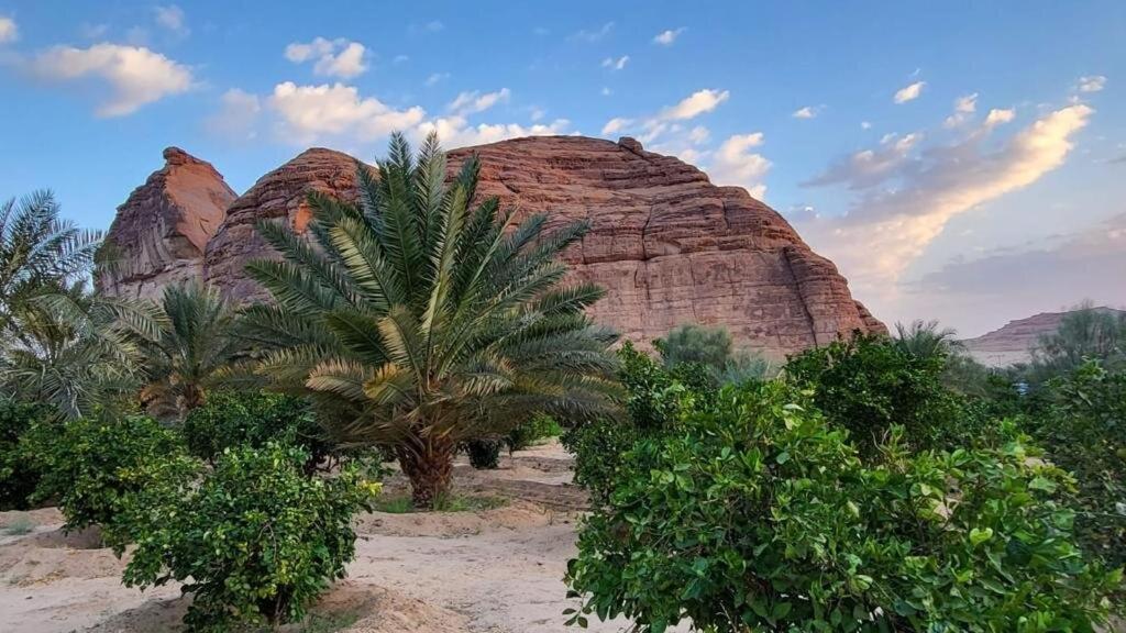 الجوهرة Diamond Plus Al-ʿUla Exterior foto