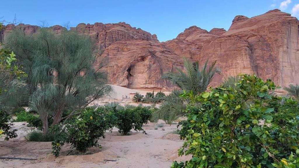 الجوهرة Diamond Plus Al-ʿUla Exterior foto