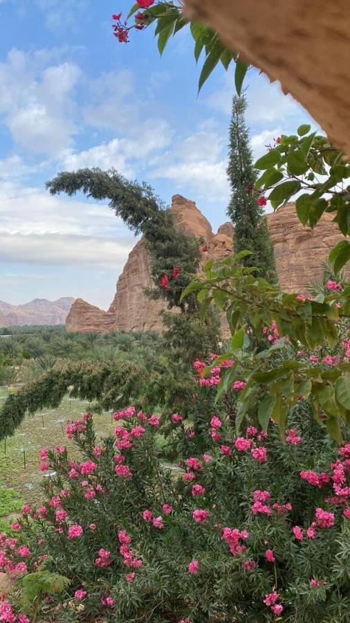 الجوهرة Diamond Plus Al-ʿUla Exterior foto