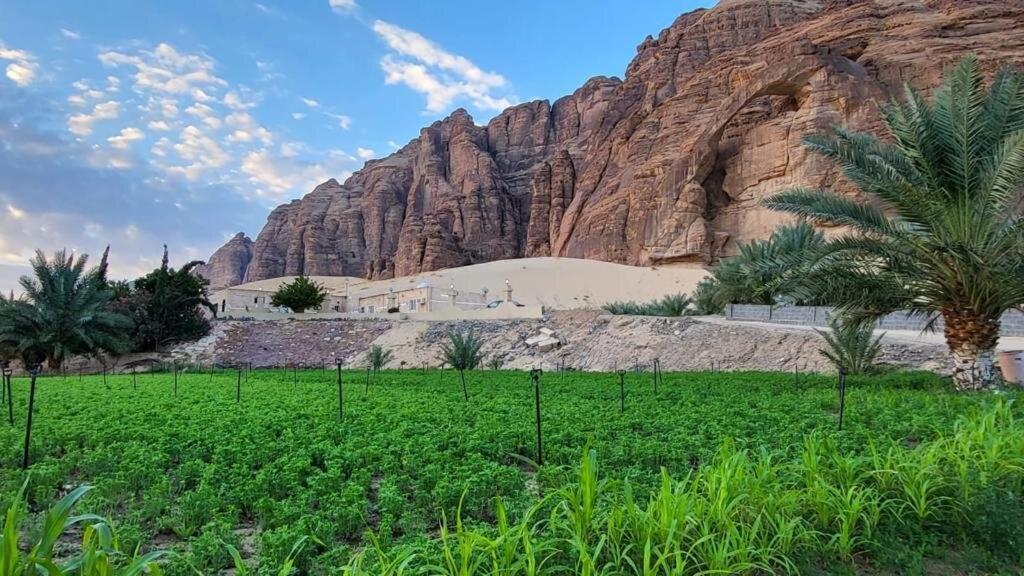الجوهرة Diamond Plus Al-ʿUla Exterior foto